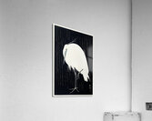 Egret in the rain 1925 - 1936 by Ohara Koson 1877-1945. Acrylic Print