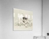 Young dog 1900 - 1930 by Ohara Koson 1877-1945. Acrylic Print