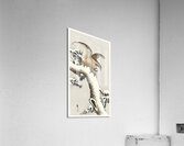 Eagle on a tree branch 1887 - 1930 by Ohara Koson 1877-1945. Acrylic Print