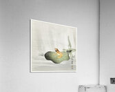 Frog on lotus leaf 1900 - 1930 by Ohara Koson 1877-1945. Acrylic Print
