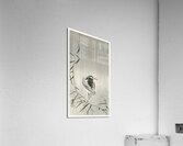 Kwak in rain 1900 - 1936 by Ohara Koson 1877-1945. Acrylic Print
