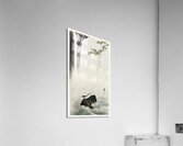 Japanese wagtail at waterfall 1900 - 1930 by Ohara Koson 1877-1945. Acrylic Print