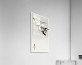 Great geese flying in the snow 1900 - 1910 by Ohara Koson 1877-1945. Acrylic Print