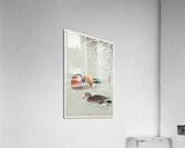 Mandarin ducks 1925 - 1936 by Ohara Koson 1877-1945. Acrylic Print