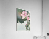 Mandarin ducks 1925 - 1936 by Ohara Koson 1877-1945. Acrylic Print