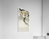 Eagle on branch 1900 - 1910 by Ohara Koson 1877-1945. Acrylic Print