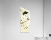 Myna on Magnolia Branch 1900 - 1910 by Ohara Koson 1877-1945. Acrylic Print