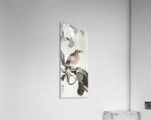 Jay on tree branch 1900 - 1910 by Ohara Koson 1877-1945. Acrylic Print