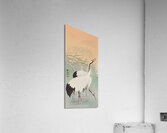 Two cranes 1925 - 1936 by Ohara Koson 1877-1945. Acrylic Print