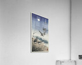 Three ducks in shallow water with reeds 1900 - 1930 by Ohara Koson 1877-1945. Acrylic Print