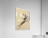 Pheasant on cherry blossom branch 1887-1945 by Ohara Koson 1877-1945. Impression acrylique