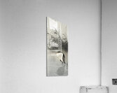 Heron at new moon 1900 - 1910 by Ohara Koson 1877-1945. Acrylic Print