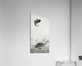 Three carps 1877-1945 by Ohara Koson 1877-1945. Impression acrylique