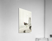 Moorhen 1900 - 1936 by Ohara Koson 1877-1945. Acrylic Print