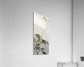 Quail at moon sickle 1900 - 1910 by Ohara Koson 1877-1945. Acrylic Print