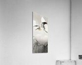 Heron and moon 1900 - 1910 by Ohara Koson 1877-1945. Impression acrylique