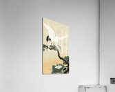 Japanese crane bird on branch of pine 1900 - 1930 by Ohara Koson 1877-1945. Acrylic Print