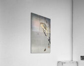 Buffalo wing shrike and spider 1900 - 1930 by Ohara Koson 1877-1945. Acrylic Print