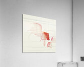 Ohara Koson 280 Acrylic Print