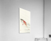 Two carp 1900 - 1930 by Ohara Koson 1877-1945. Acrylic Print