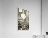 Blooming plum blossom at full moon 1900-1936 by Ohara Koson 1877-1945. Acrylic Print