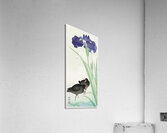 Waterhoots and iris 1925 - 1936 by Ohara Koson 1877-1945. Acrylic Print