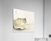 Tiger 1900 - 1930 by Ohara Koson 1877-1945. Acrylic Print