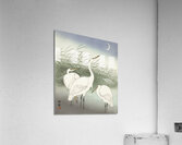 Praying mantis 1900 - 1936 by Ohara Koson 1877-1945. Acrylic Print