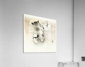 Two playing dogs 1900 - 1930 by Ohara Koson 1877-1945. Acrylic Print