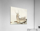 Couple of deers 1900 - 1930 by Ohara Koson 1877-1945. Acrylic Print