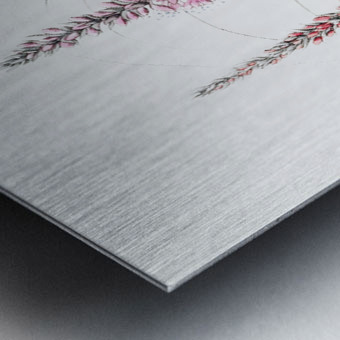 Stem-clasping polygonum from Edwards Botanical Register 1829-1847  by Sydenham Edwards John Lindley and James Ridgway. Metal print