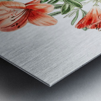 The brick-red Chinese azalea from Edwards Botanical Register 1829-1847  by Sydenham Edwards John Lindley and James Ridgway. Metal print