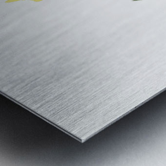 Yellow perennial lupine from Edwards Botanical Register 1829-1847  by Sydenham Edwards John Lindley and James Ridgway. Metal print