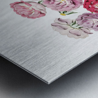 The seven sisters rose from Edwards Botanical Register 1829-1847  by Sydenham Edwards John Lindley and James Ridgway. Metal print