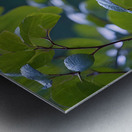 A  Amethyst Glass Eagle By ISHISH Metal print