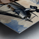 Aviator Amelia Airheart By ISHISH Metal print