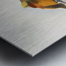 Diphyllodes chrysoptera 1873 Metal print