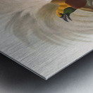 Paradisea minor 1873 Metal print