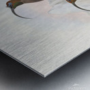 Drepanornis Albertis 1873 Metal print