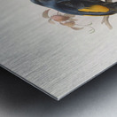 Ptilonorhynchus Rawnsleyi 1873 Metal print