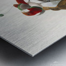 Cicinnurus regius 1873 Metal print