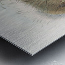 Chlamydodera maculata 1873 Impression metal