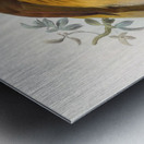 Paradisea apoda 1873 Metal print