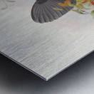 Ptiloris Victorie 1873 Metal print