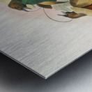 Diphyllodes speciosa 1873 Metal print