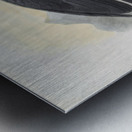 Bucorvus abyssinicus 1882 Metal print