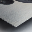 Buceros sylvestris 1882 Metal print