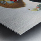 Aceros nepalensis 1882 Metal print