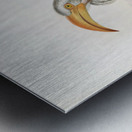 Tockus flavirostris 1882 Metal print