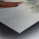 Hydrocorax planicornis 1882 Metal print